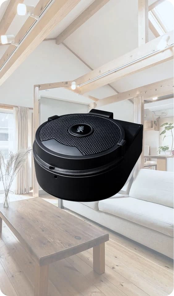 Tessa Listener